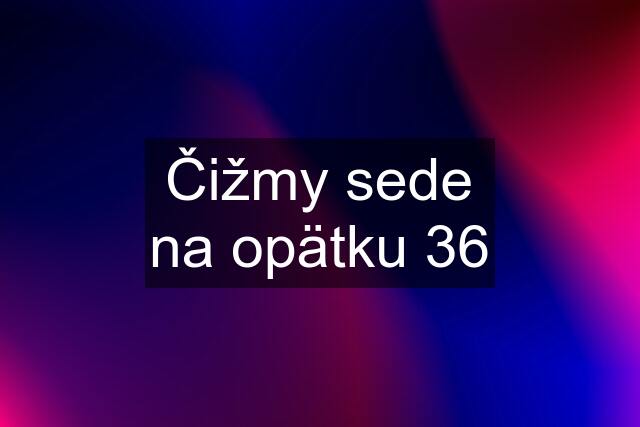 Čižmy sede na opätku 36