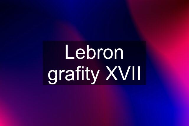 Lebron grafity XVII