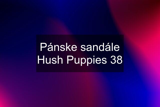 Pánske sandále Hush Puppies 38