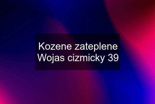 Kozene zateplene Wojas cizmicky 39