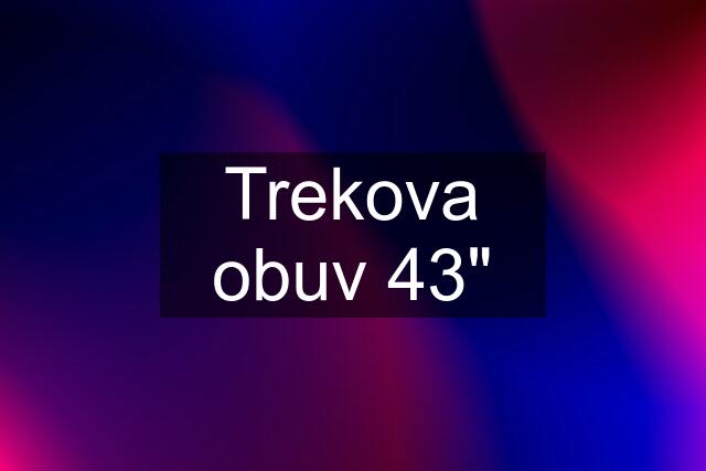 Trekova obuv 43"