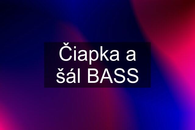 Čiapka a šál BASS