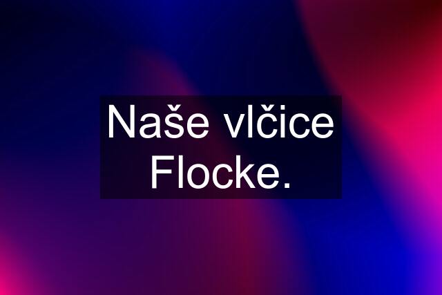 Naše vlčice Flocke.