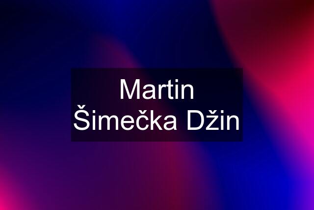 Martin Šimečka Džin