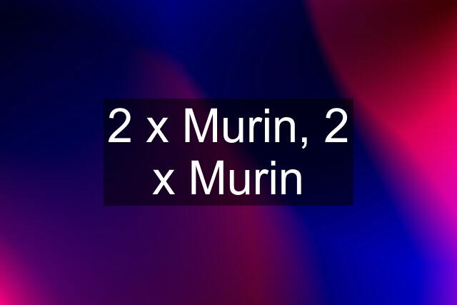 2 x Murin, 2 x Murin