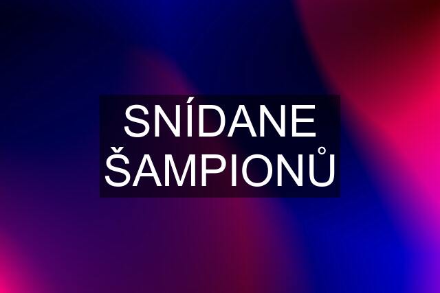 SNÍDANE ŠAMPIONŮ