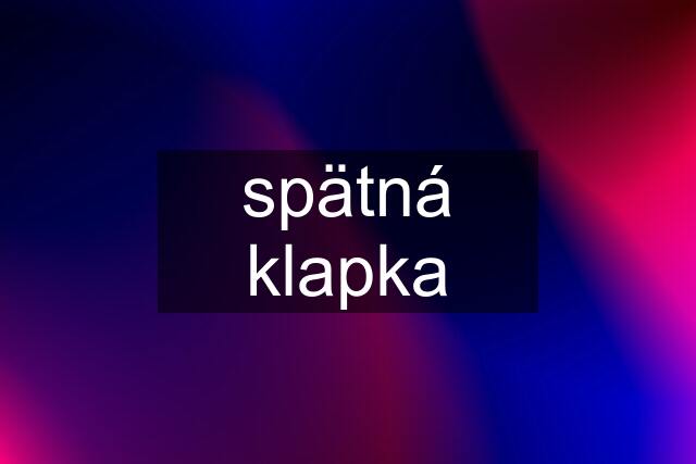 spätná klapka