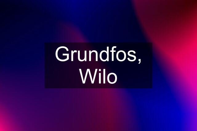 Grundfos, Wilo