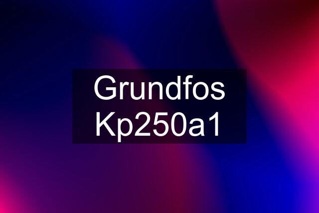 Grundfos Kp250a1