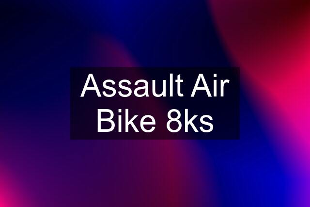 Assault Air Bike 8ks