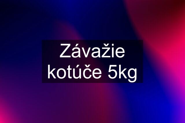 Závažie kotúče 5kg