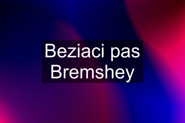 Beziaci pas Bremshey