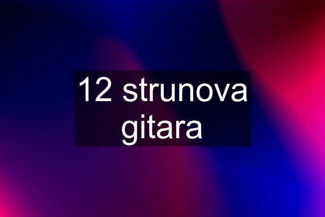 12 strunova gitara