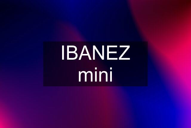 IBANEZ mini