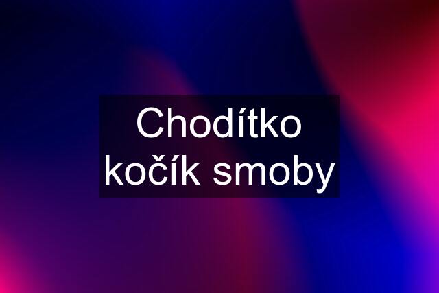 Chodítko kočík smoby