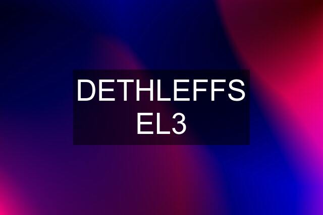 DETHLEFFS EL3