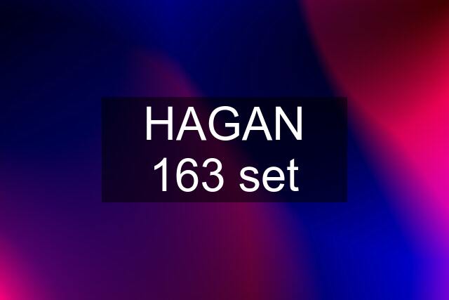 HAGAN 163 set