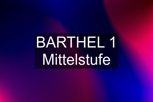 BARTHEL 1 Mittelstufe