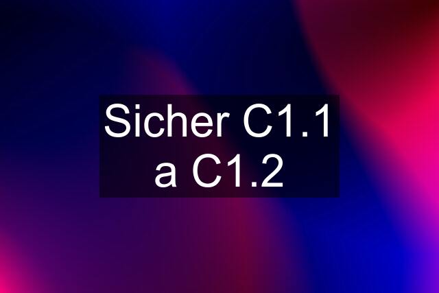 Sicher C1.1 a C1.2