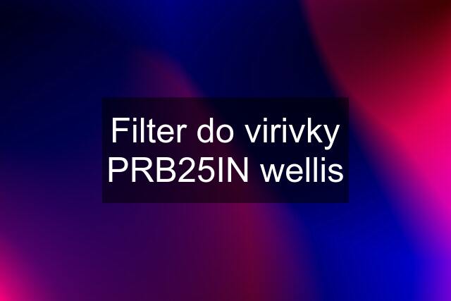 Filter do virivky PRB25IN wellis