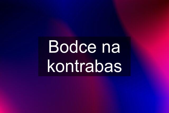 Bodce na kontrabas