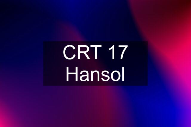 CRT 17 Hansol