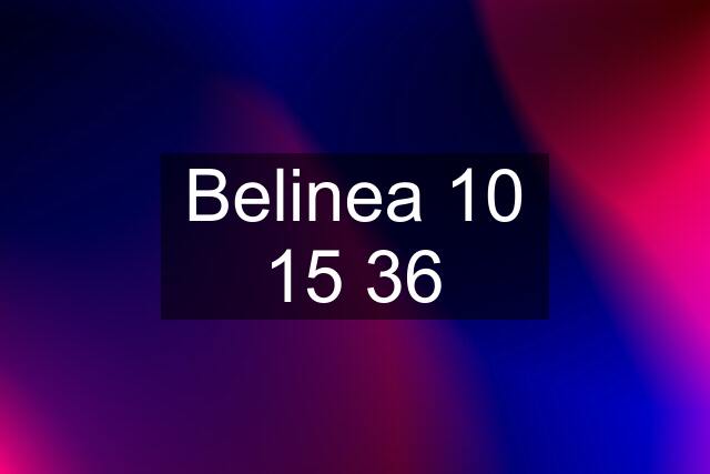 Belinea 10 15 36