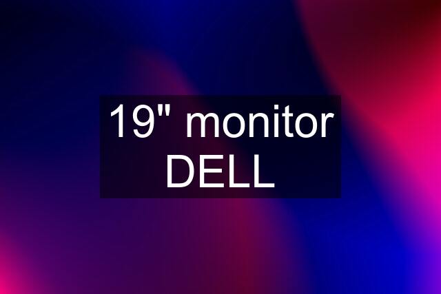 19" monitor DELL