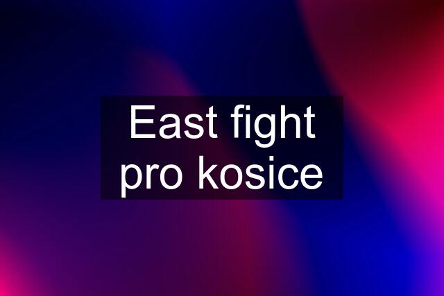 East fight pro kosice