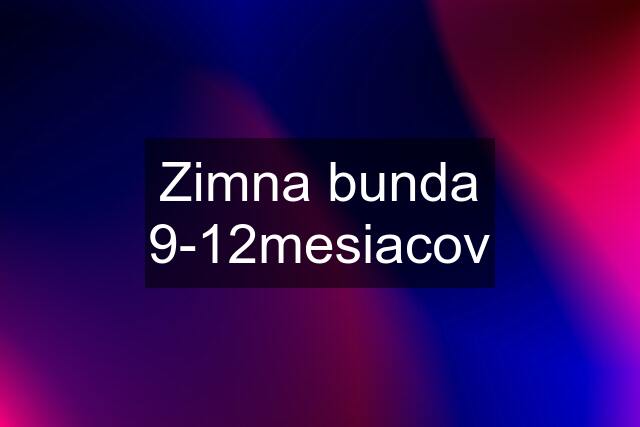 Zimna bunda 9-12mesiacov