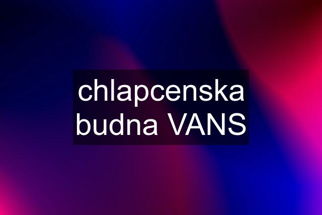 chlapcenska budna VANS