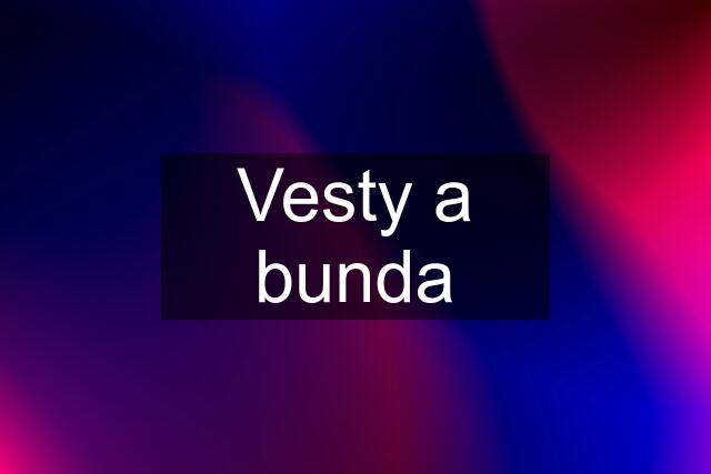 Vesty a bunda