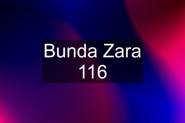 Bunda Zara 116