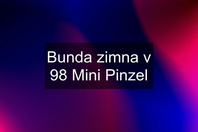 Bunda zimna v 98 Mini Pinzel