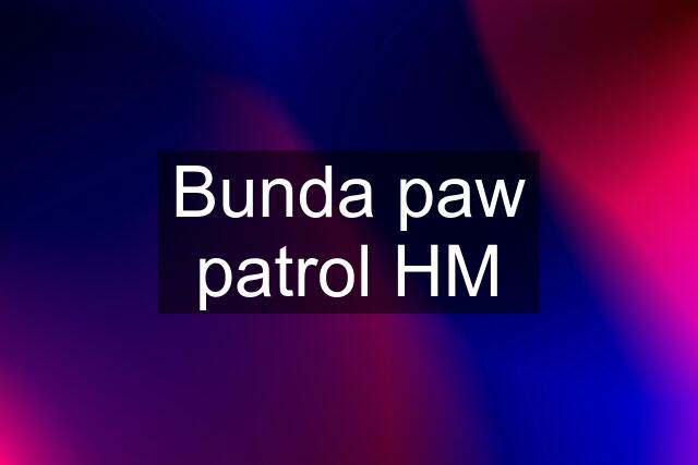 Bunda paw patrol HM