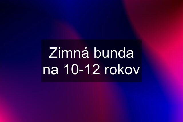 Zimná bunda na 10-12 rokov