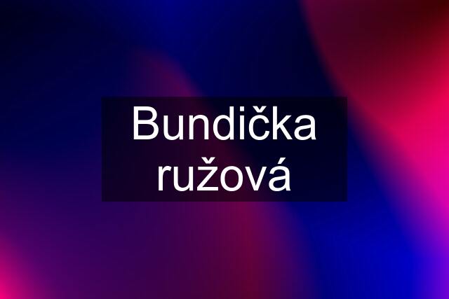 Bundička ružová