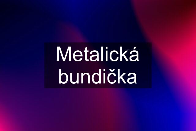 Metalická bundička