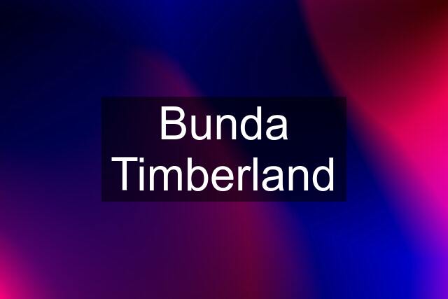 Bunda Timberland