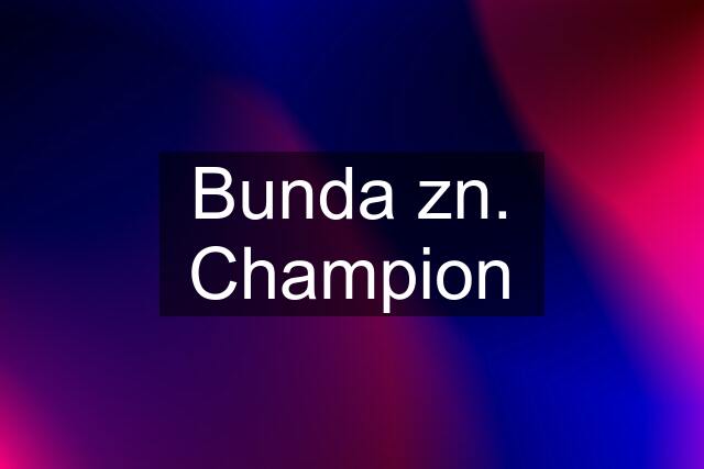 Bunda zn. Champion