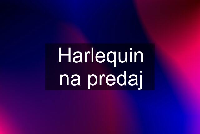 Harlequin na predaj