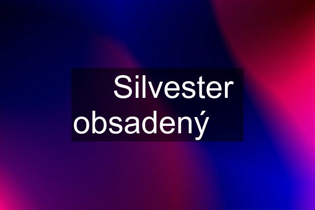 ❤️ Silvester obsadený ❤️