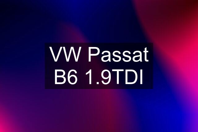 VW Passat B6 1.9TDI