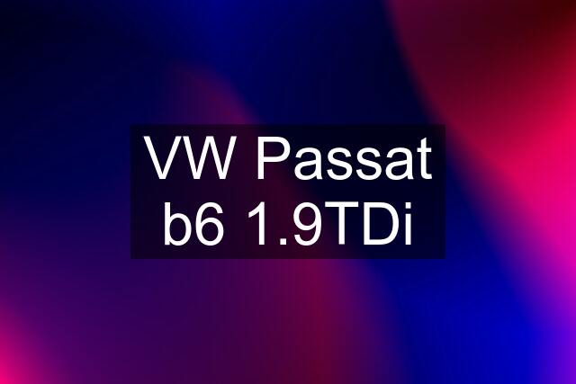 VW Passat b6 1.9TDi