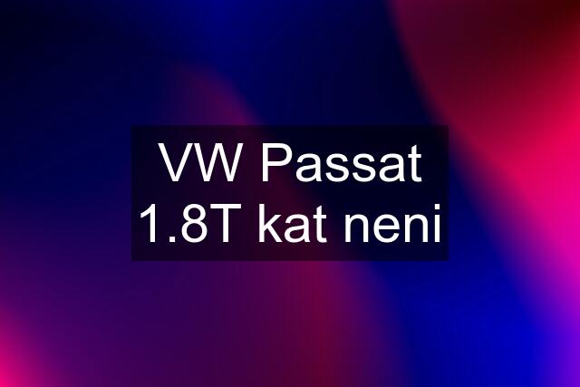 VW Passat 1.8T kat neni