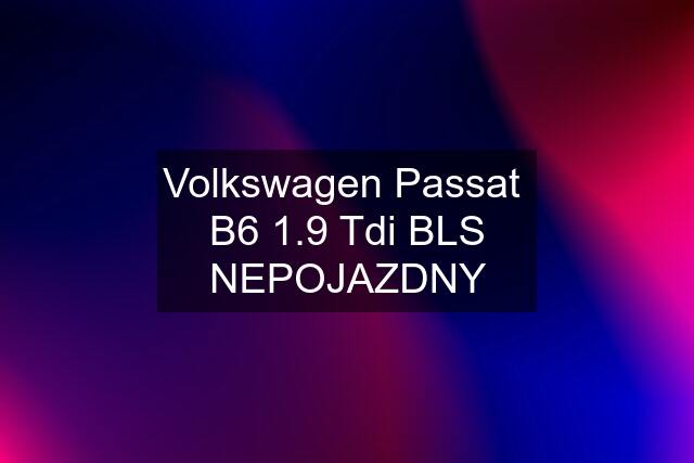 Volkswagen Passat  B6 1.9 Tdi BLS NEPOJAZDNY