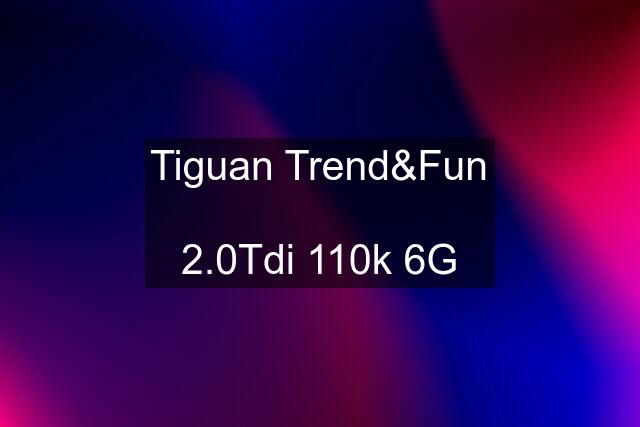 Tiguan Trend&Fun  2.0Tdi 110k 6G