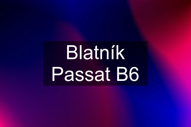 Blatník Passat B6