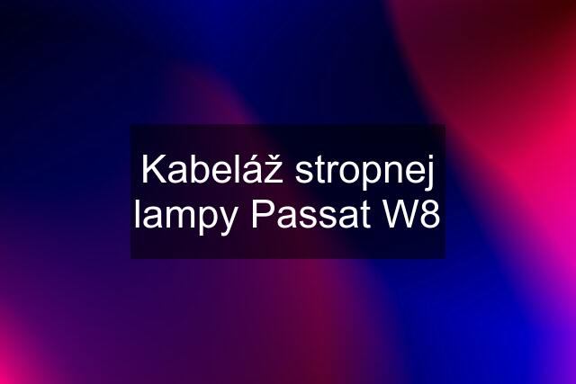 Kabeláž stropnej lampy Passat W8