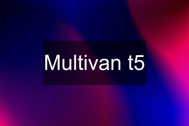 Multivan t5